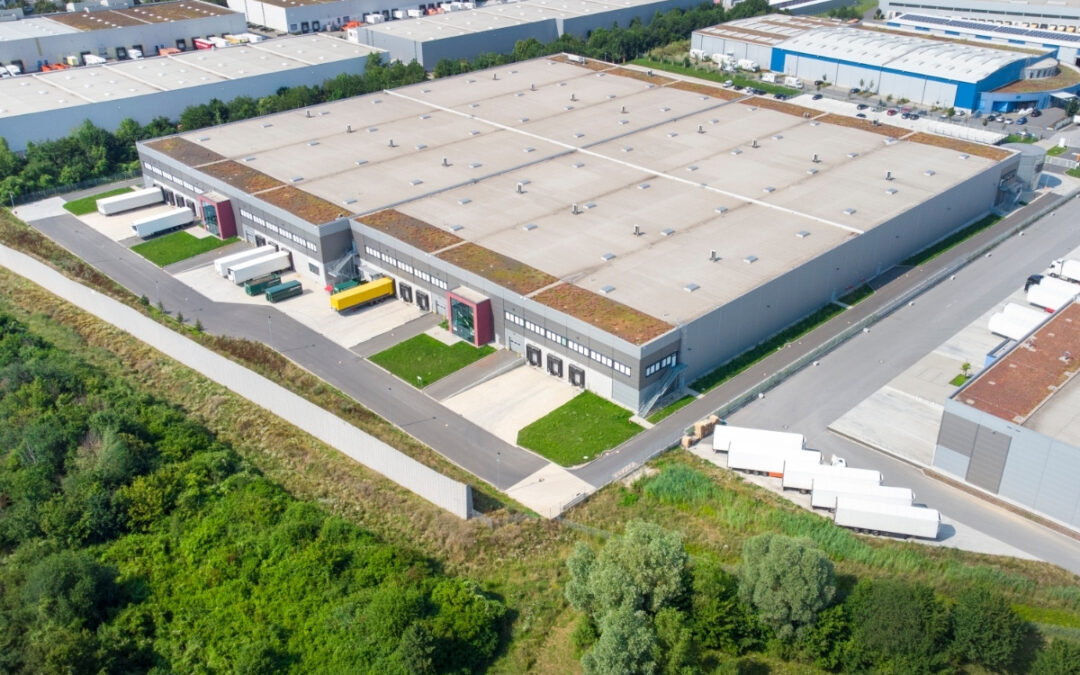 Paza pe timpul noptii in parcurile industriale: ce face Niru Guard diferit